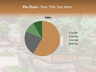 Garden Technique Japanese PowerPoint Template