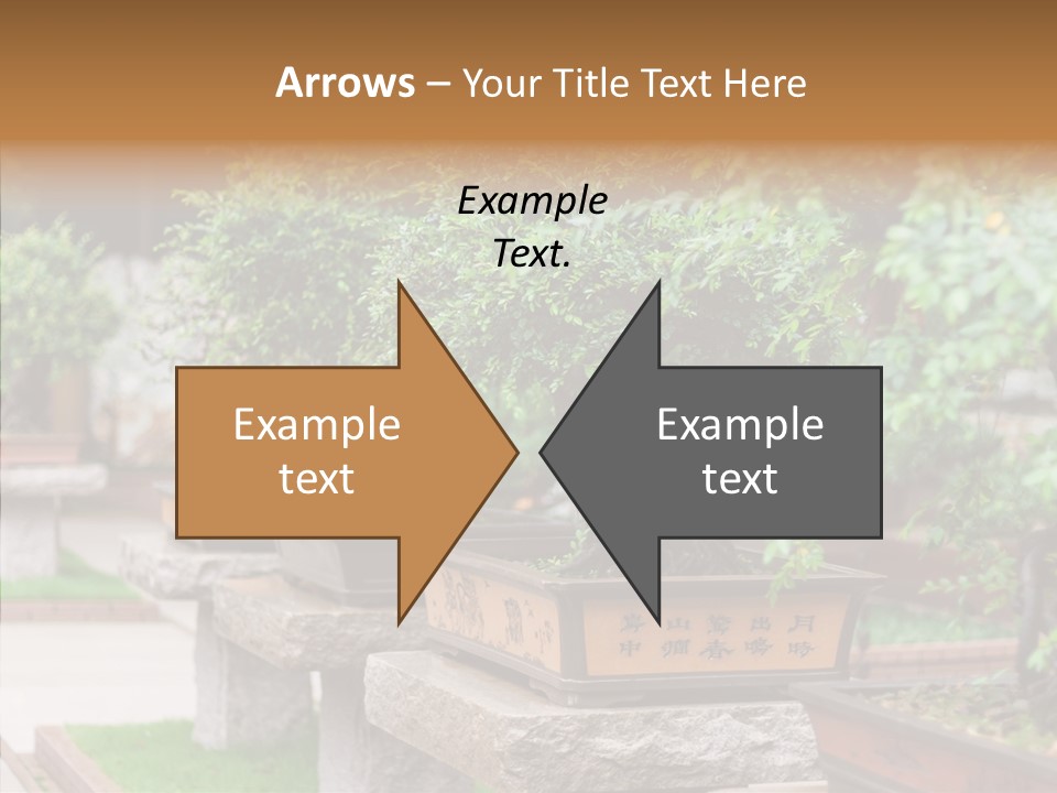 Garden Technique Japanese PowerPoint Template