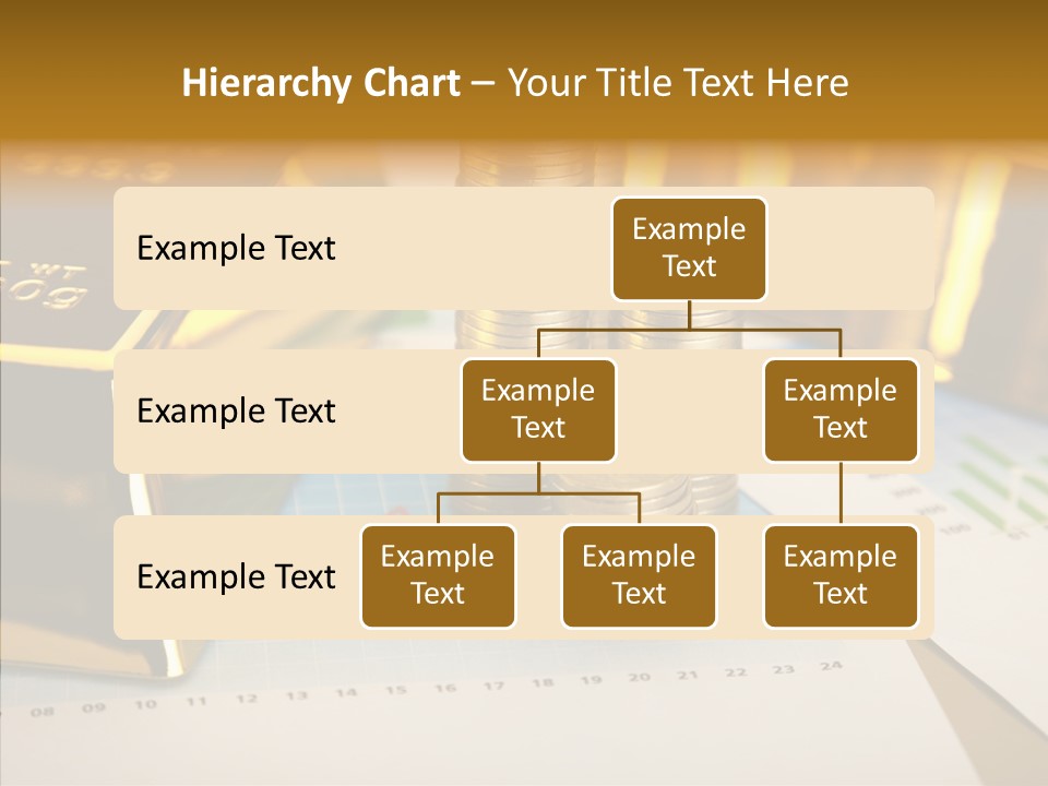 Numismatist Stock Coin PowerPoint Template