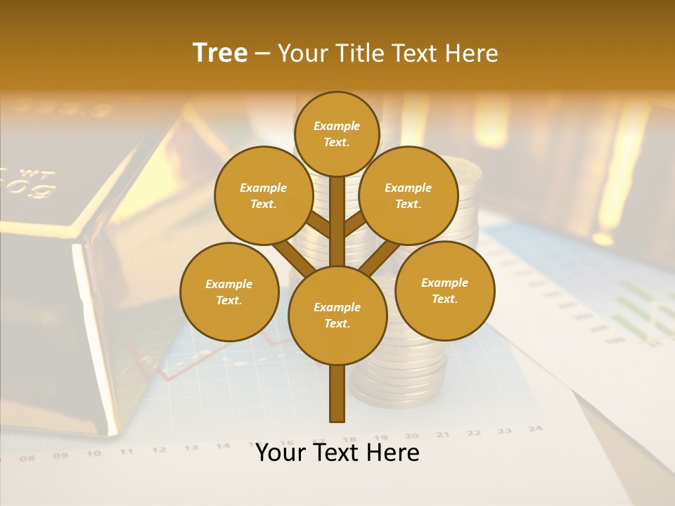 Numismatist Stock Coin PowerPoint Template