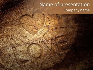 Aging Pine Section PowerPoint Template