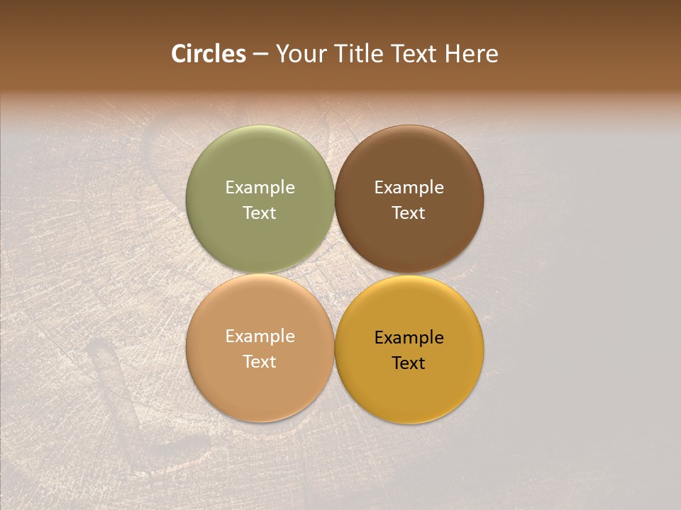 Aging Pine Section PowerPoint Template