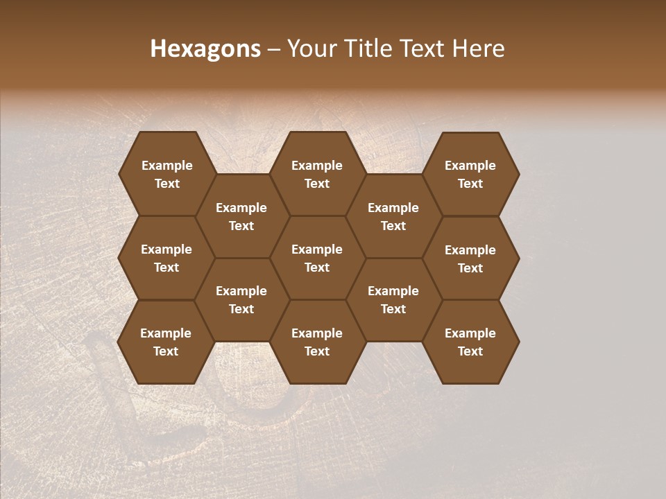Aging Pine Section PowerPoint Template