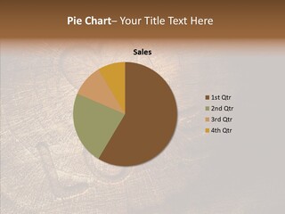 Aging Pine Section PowerPoint Template