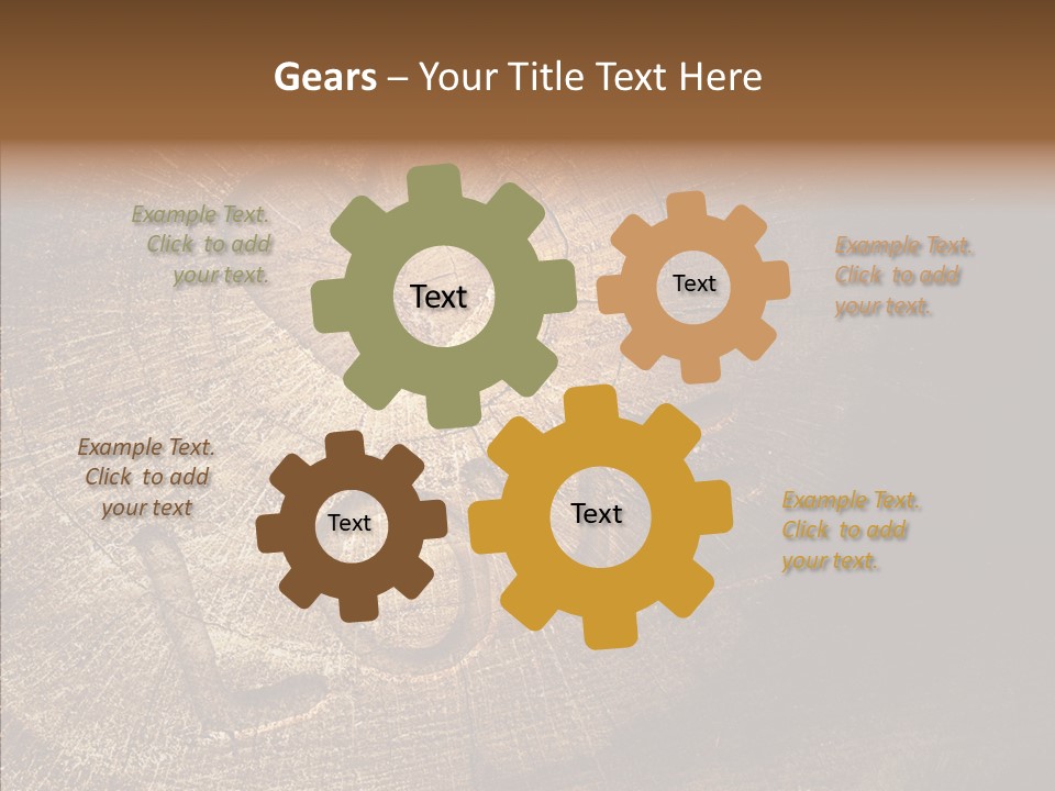 Aging Pine Section PowerPoint Template