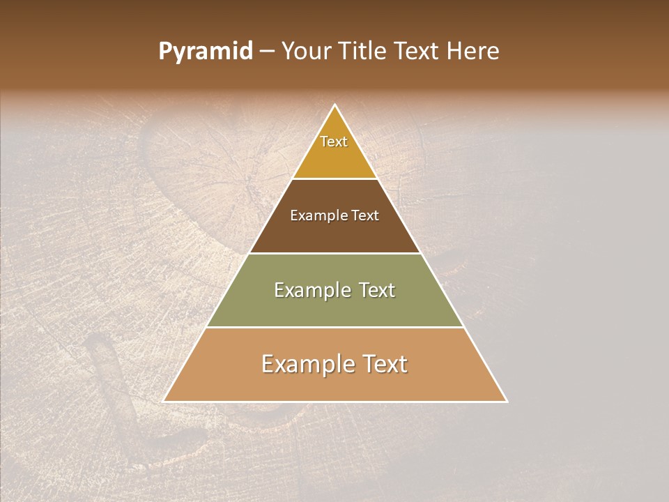 Aging Pine Section PowerPoint Template