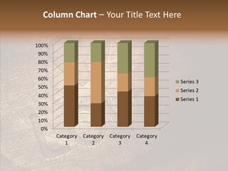 Aging Pine Section PowerPoint Template