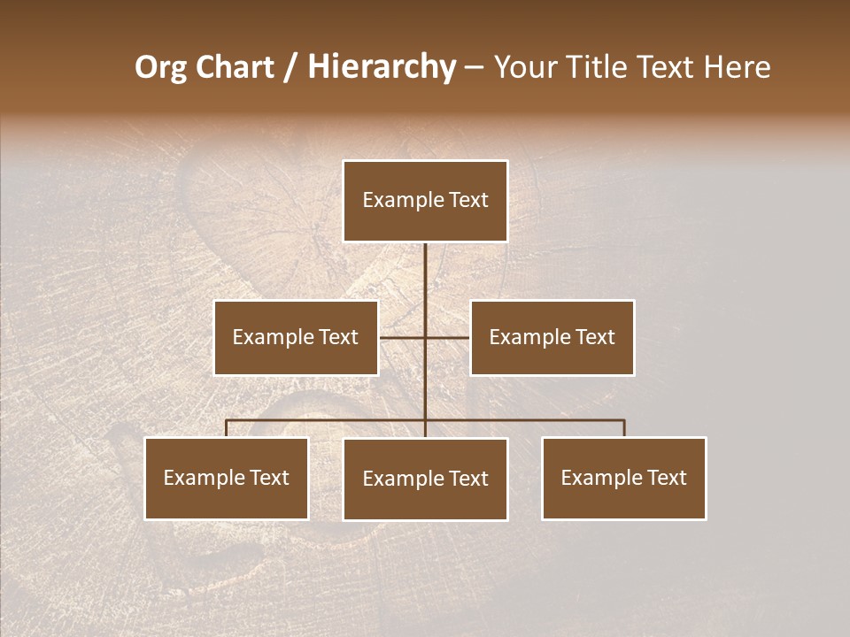 Aging Pine Section PowerPoint Template