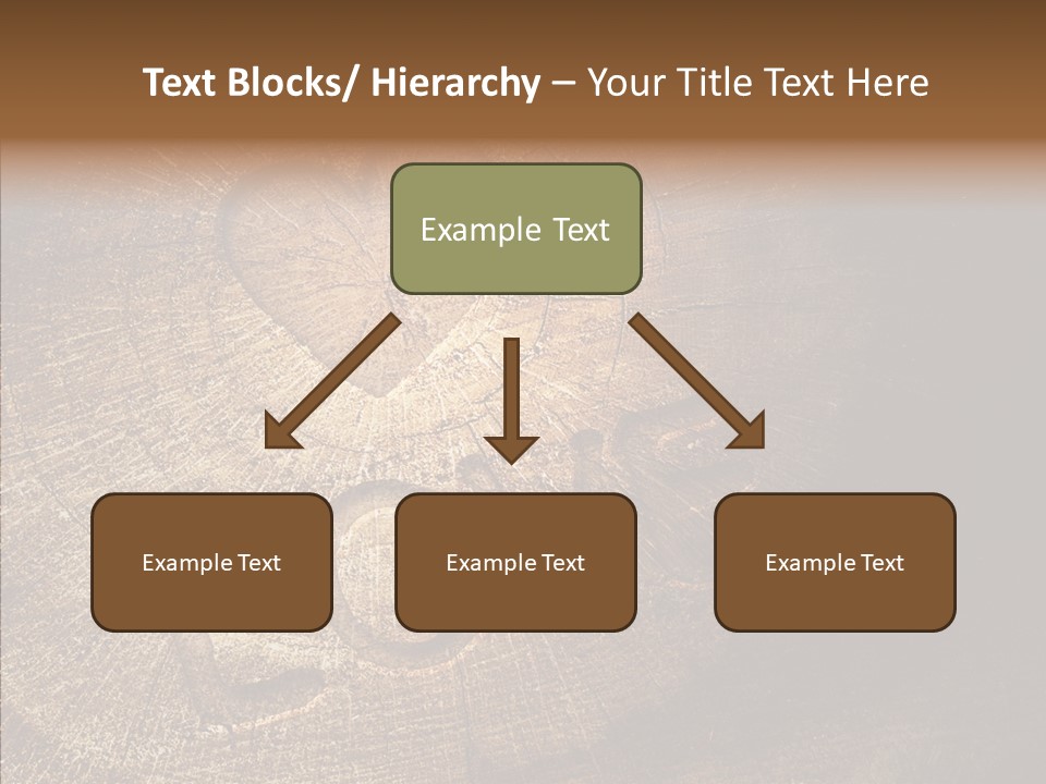 Aging Pine Section PowerPoint Template