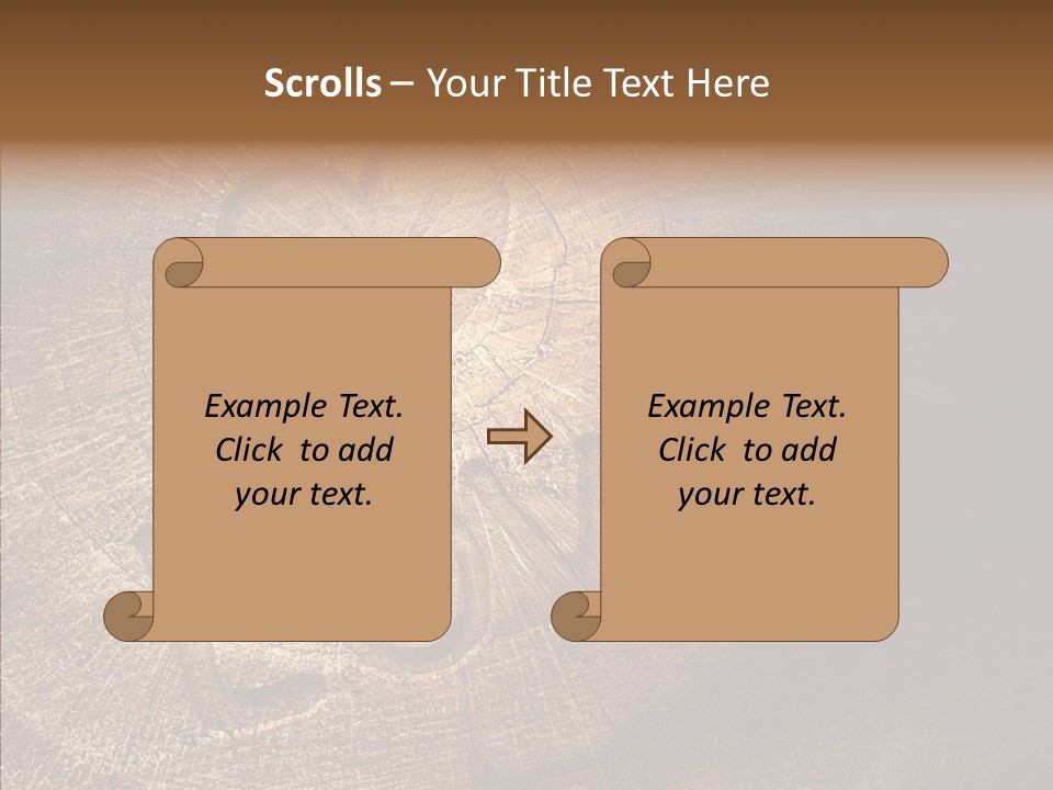 Aging Pine Section PowerPoint Template