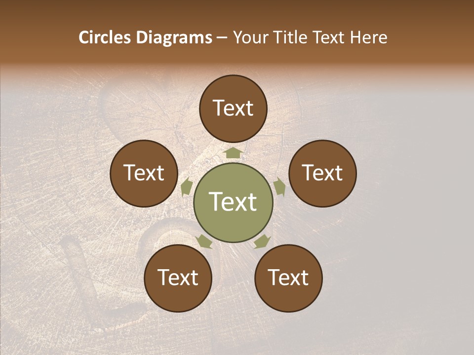 Aging Pine Section PowerPoint Template