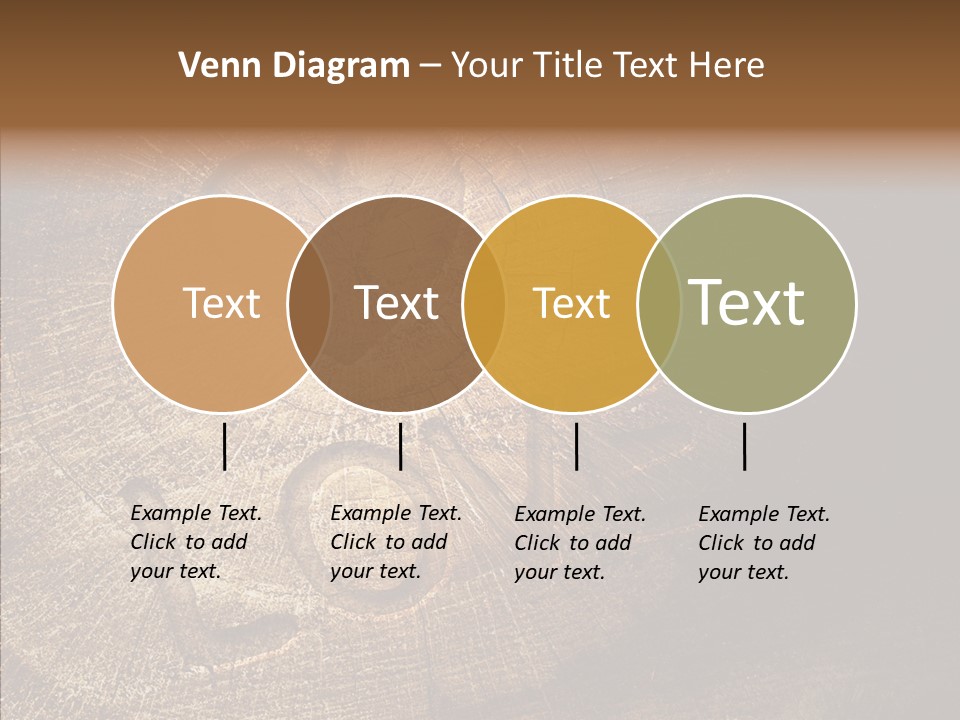 Aging Pine Section PowerPoint Template