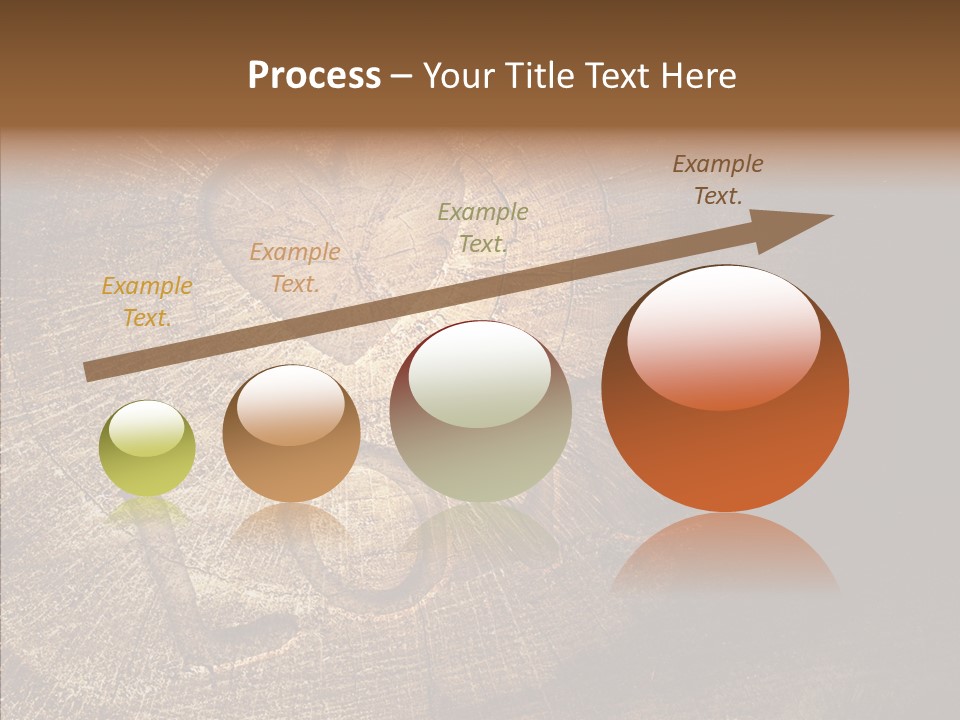 Aging Pine Section PowerPoint Template