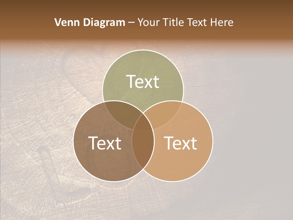 Aging Pine Section PowerPoint Template