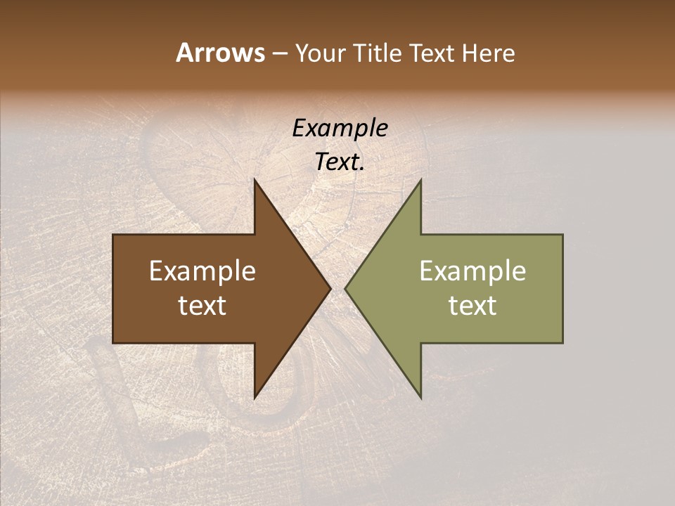 Aging Pine Section PowerPoint Template