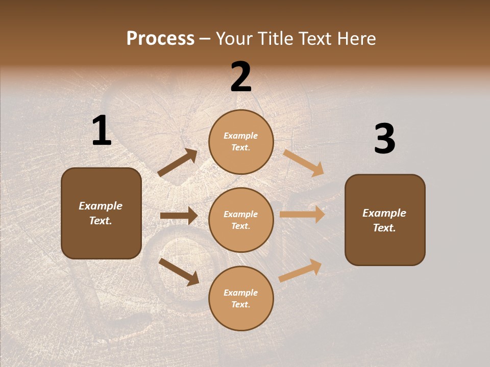 Aging Pine Section PowerPoint Template