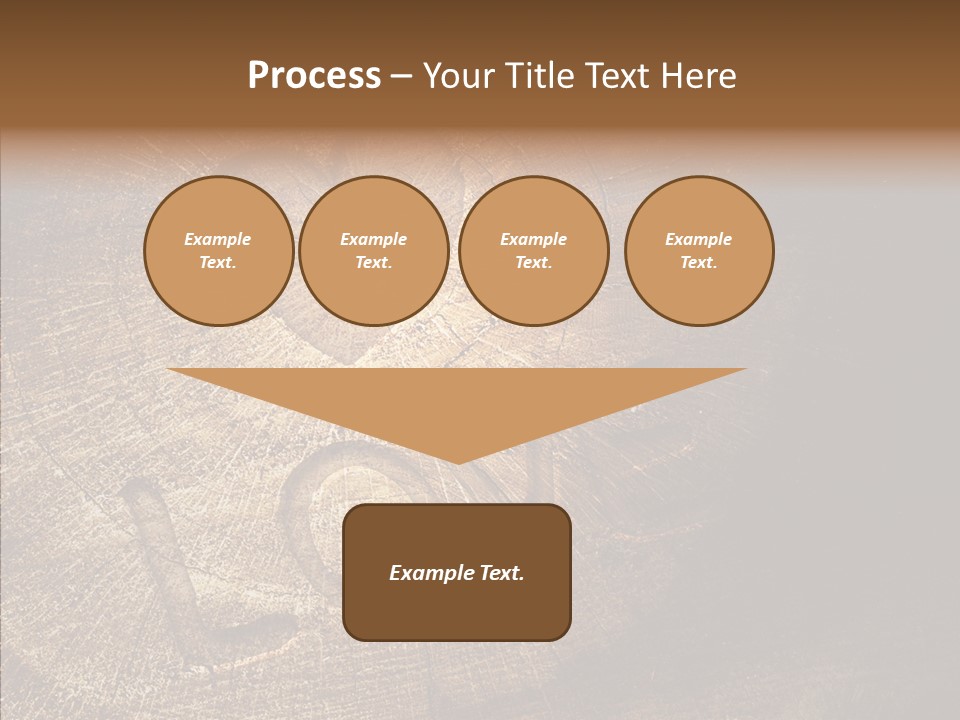 Aging Pine Section PowerPoint Template