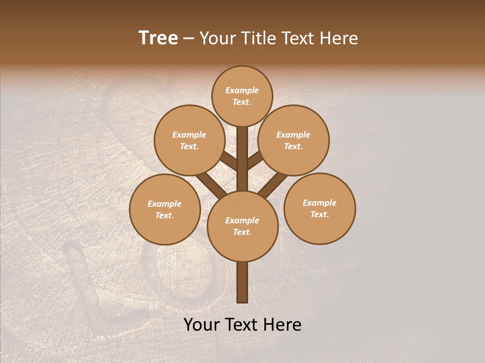 Aging Pine Section PowerPoint Template
