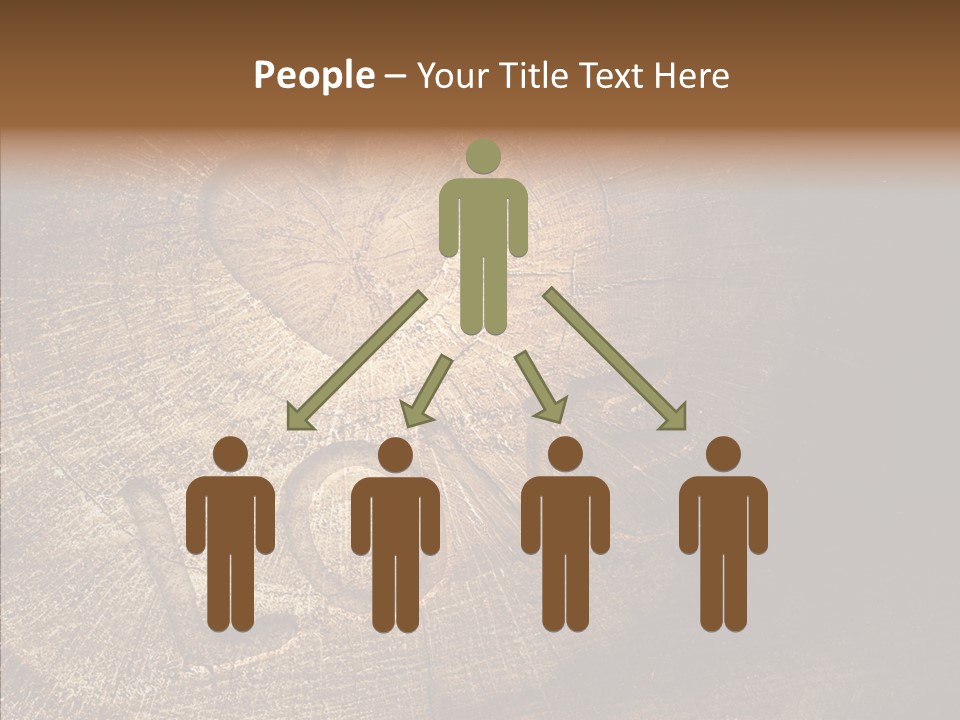 Aging Pine Section PowerPoint Template