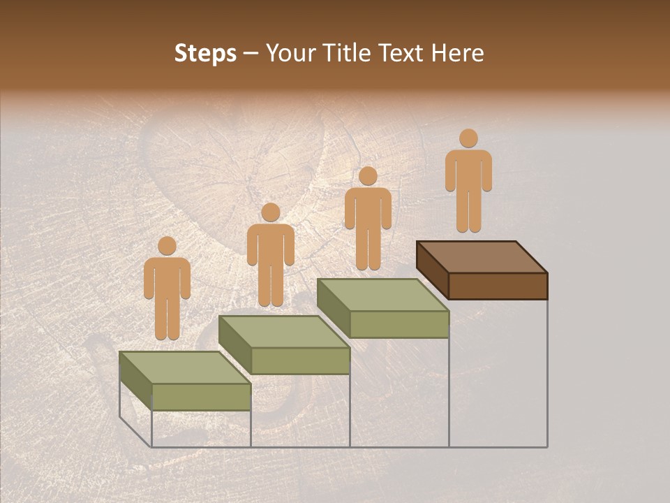 Aging Pine Section PowerPoint Template