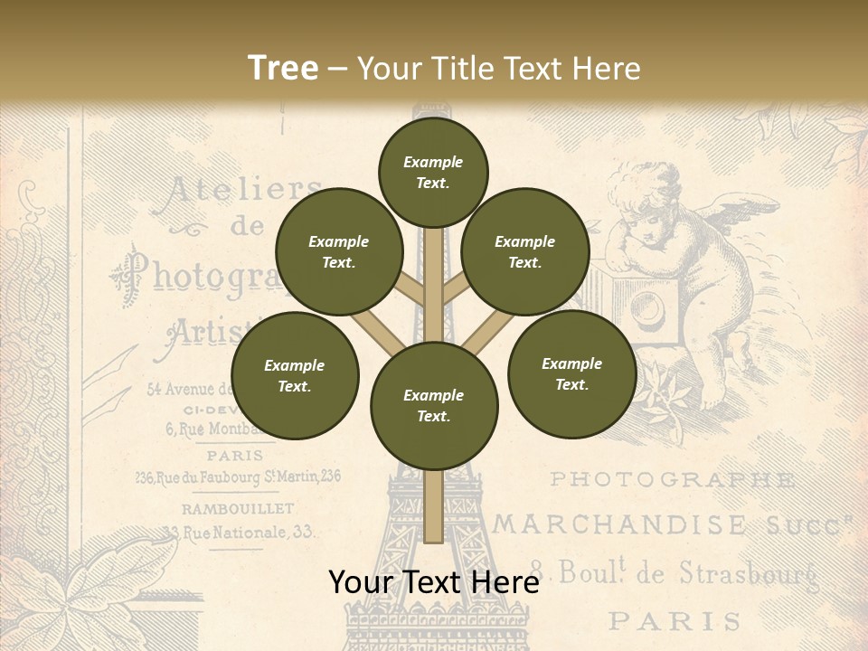 Fran Decoratif Vieux PowerPoint Template