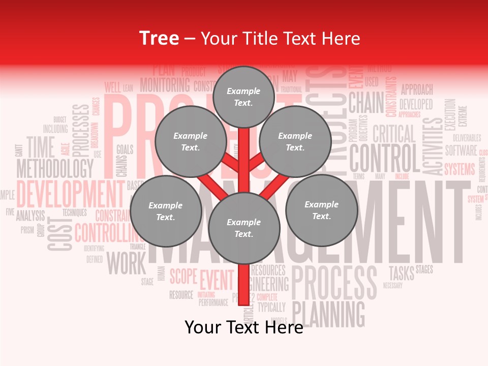 A Word Cloud With The Words Project Management Written In It PowerPoint Template