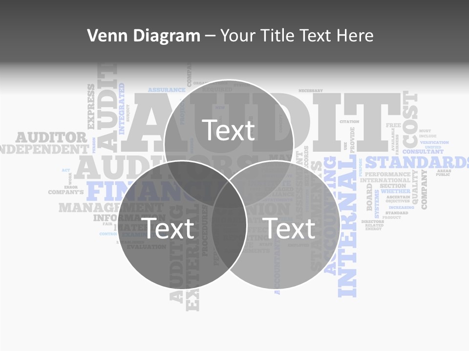 Financial Audit PowerPoint Template