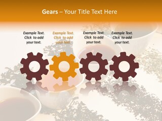 Rooibusch Teesch Rooibos PowerPoint Template