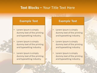 Rooibusch Teesch Rooibos PowerPoint Template