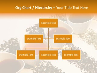 Rooibusch Teesch Rooibos PowerPoint Template