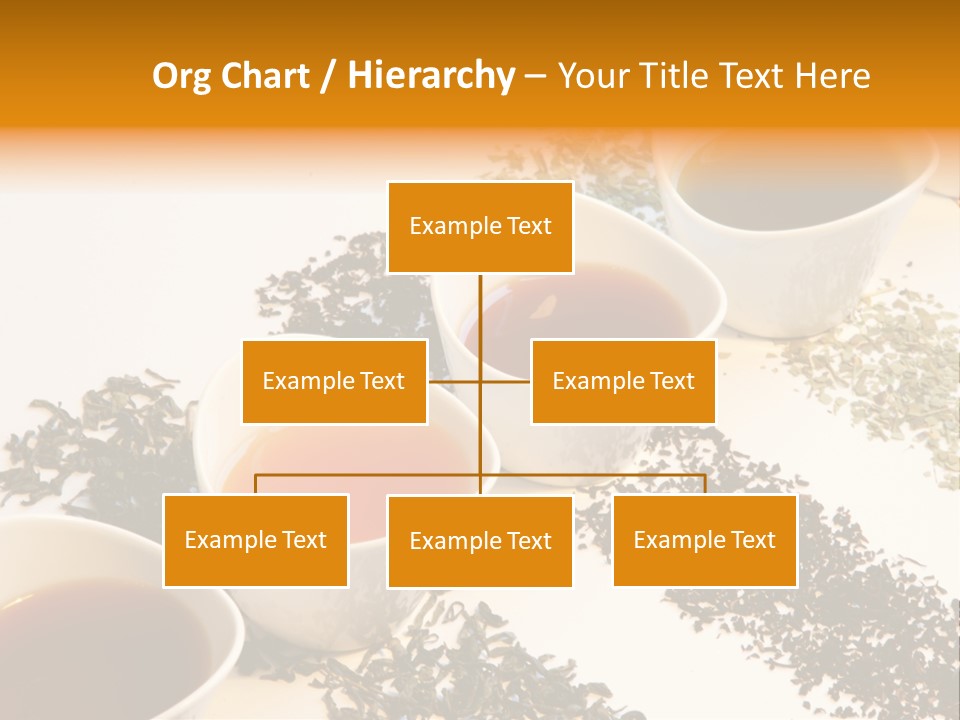 Rooibusch Teesch Rooibos PowerPoint Template