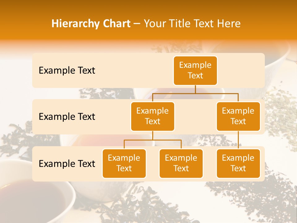 Rooibusch Teesch Rooibos PowerPoint Template