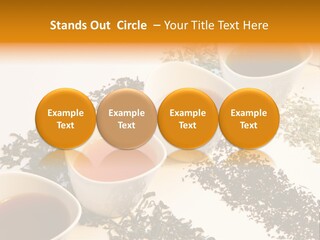 Rooibusch Teesch Rooibos PowerPoint Template