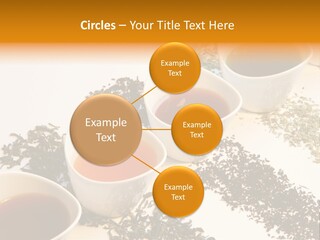 Rooibusch Teesch Rooibos PowerPoint Template