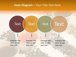 Rooibusch Teesch Rooibos PowerPoint Template