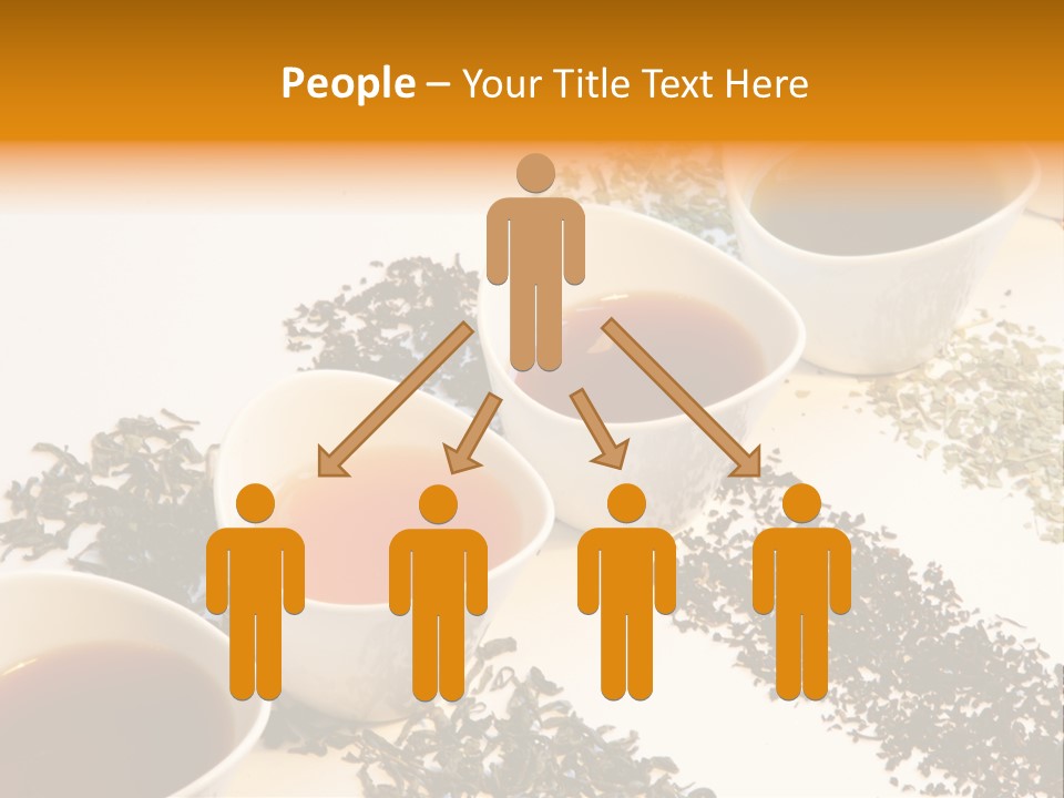 Rooibusch Teesch Rooibos PowerPoint Template