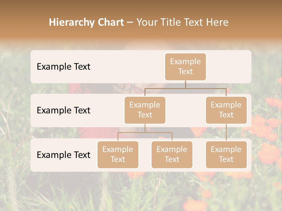 Day Natural Sunny PowerPoint Template