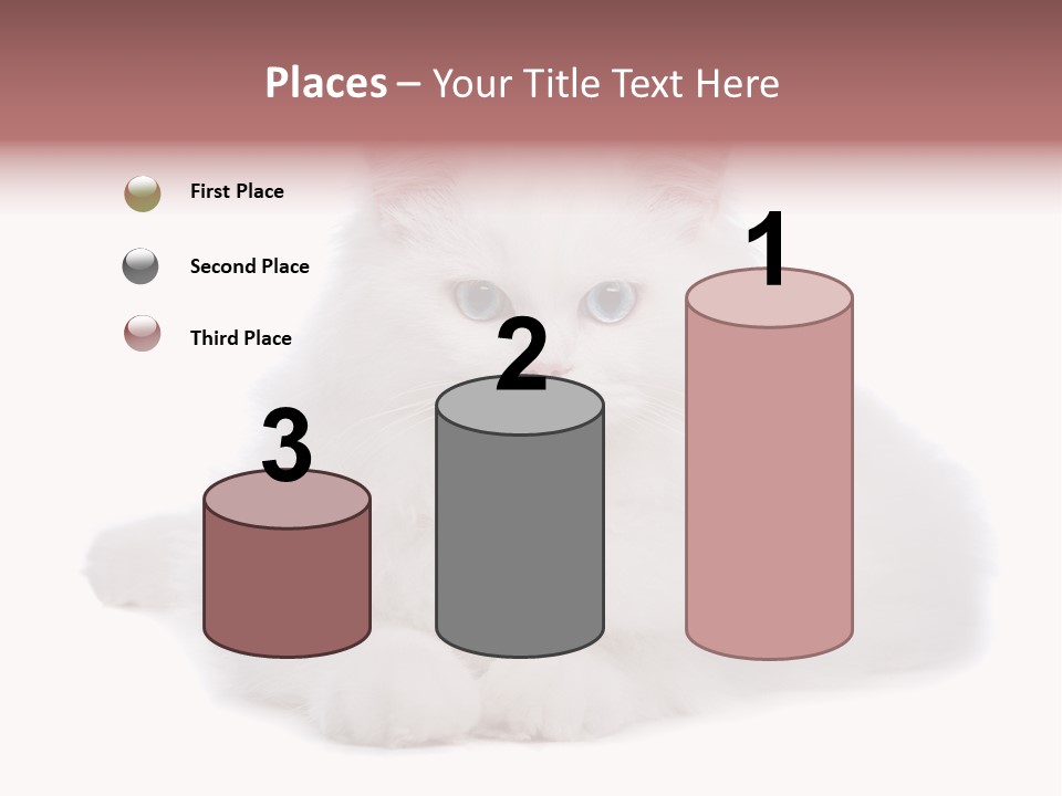 Two White Cats Naughty Background PowerPoint Template