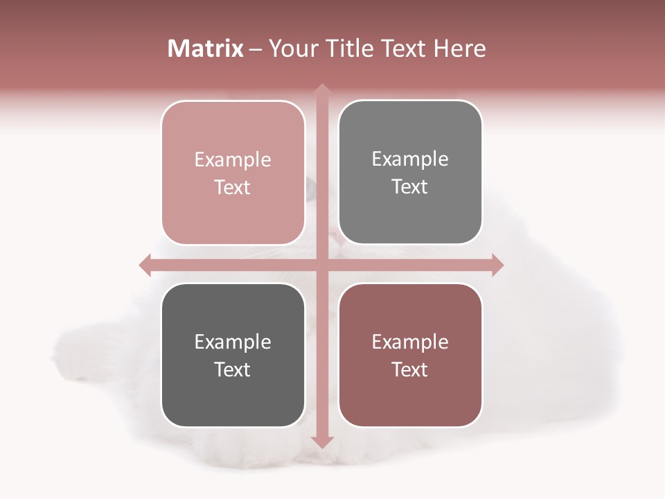 Two White Cats Naughty Background PowerPoint Template