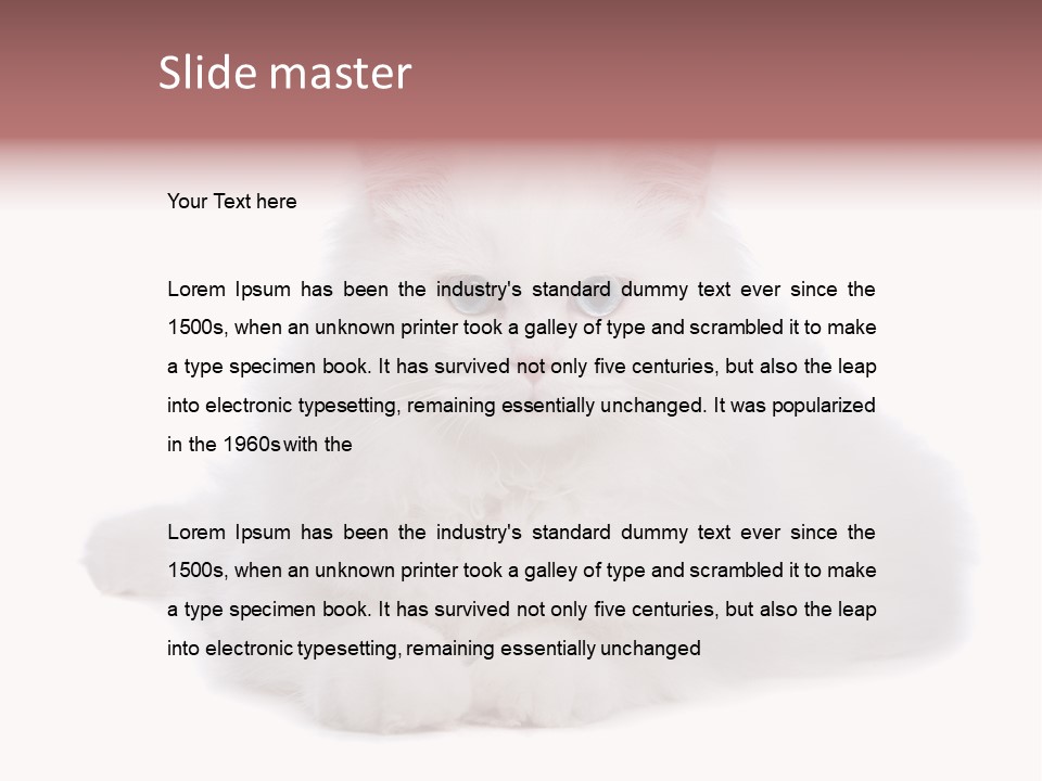 Two White Cats Naughty Background PowerPoint Template