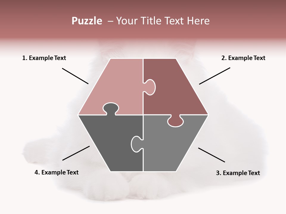 Two White Cats Naughty Background PowerPoint Template