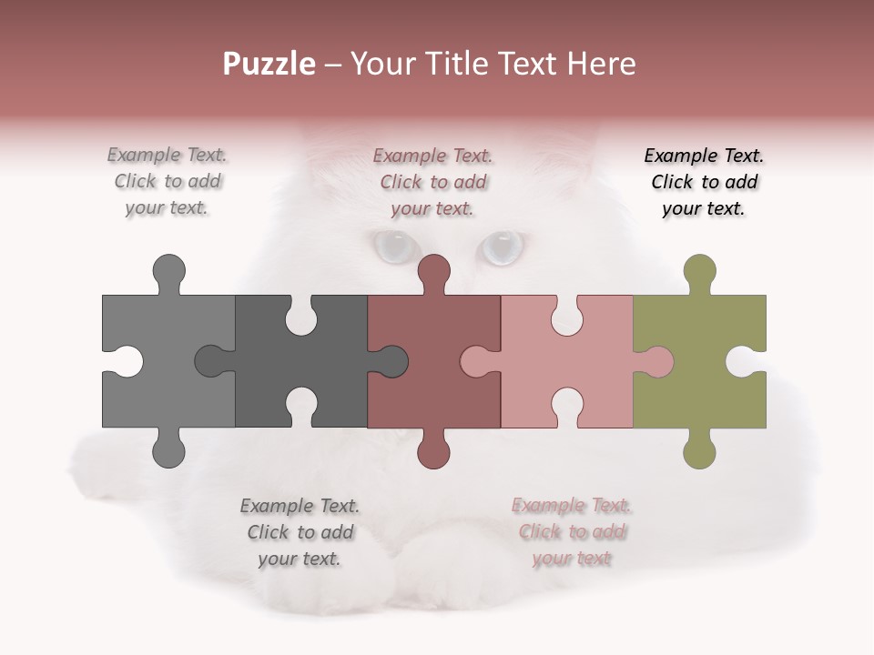 Two White Cats Naughty Background PowerPoint Template