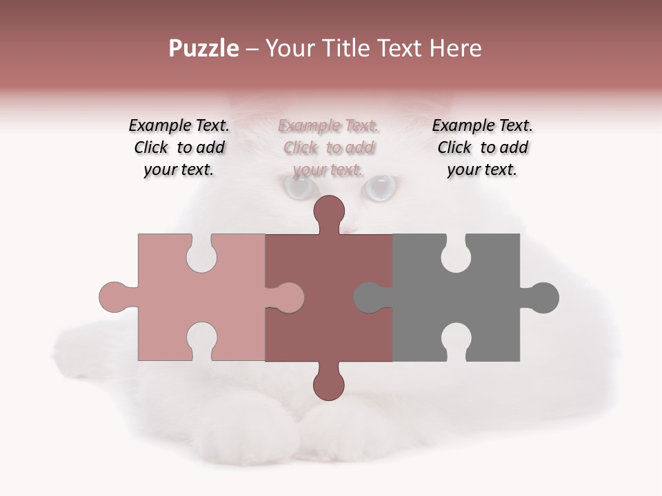 Two White Cats Naughty Background PowerPoint Template