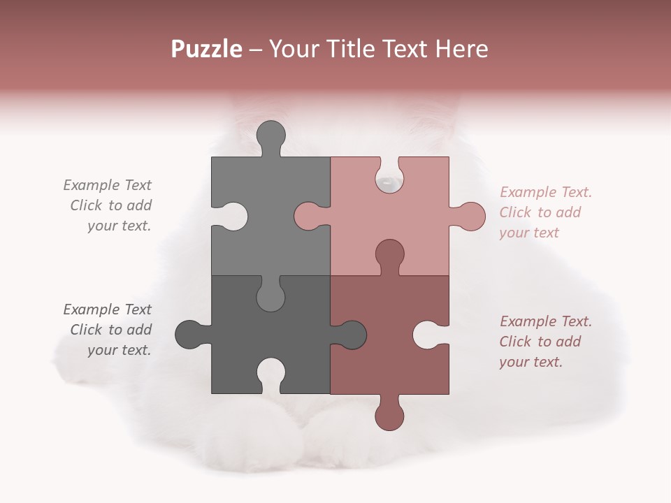 Two White Cats Naughty Background PowerPoint Template