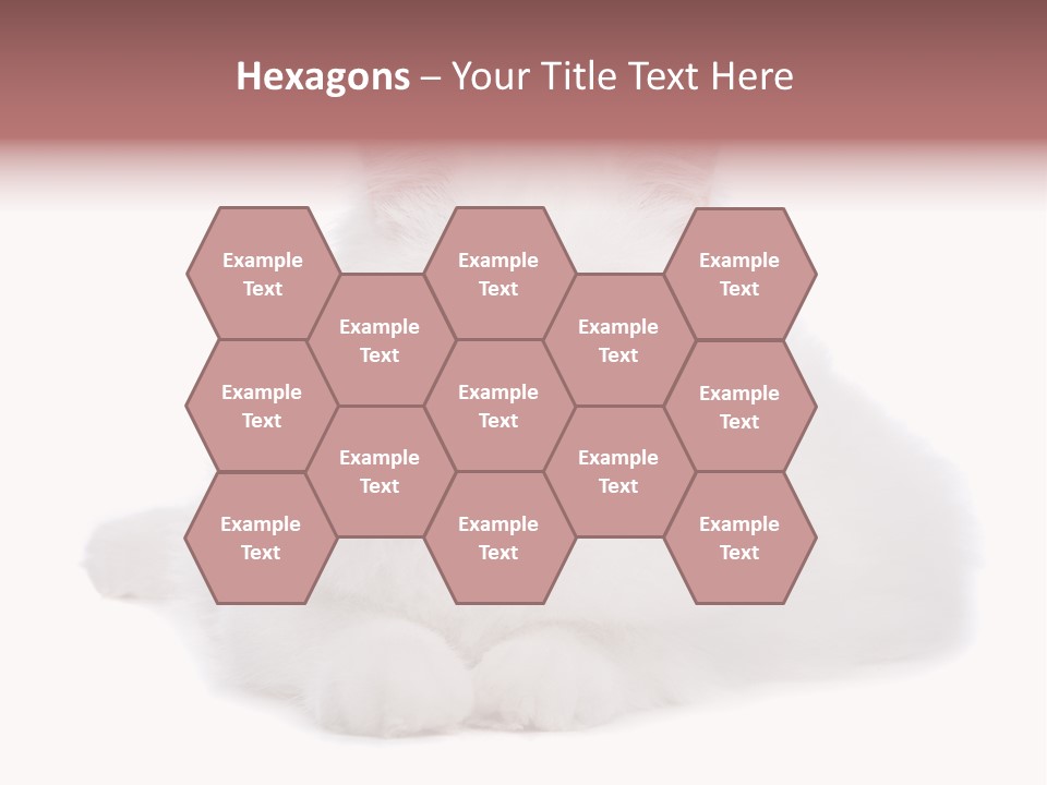 Two White Cats Naughty Background PowerPoint Template