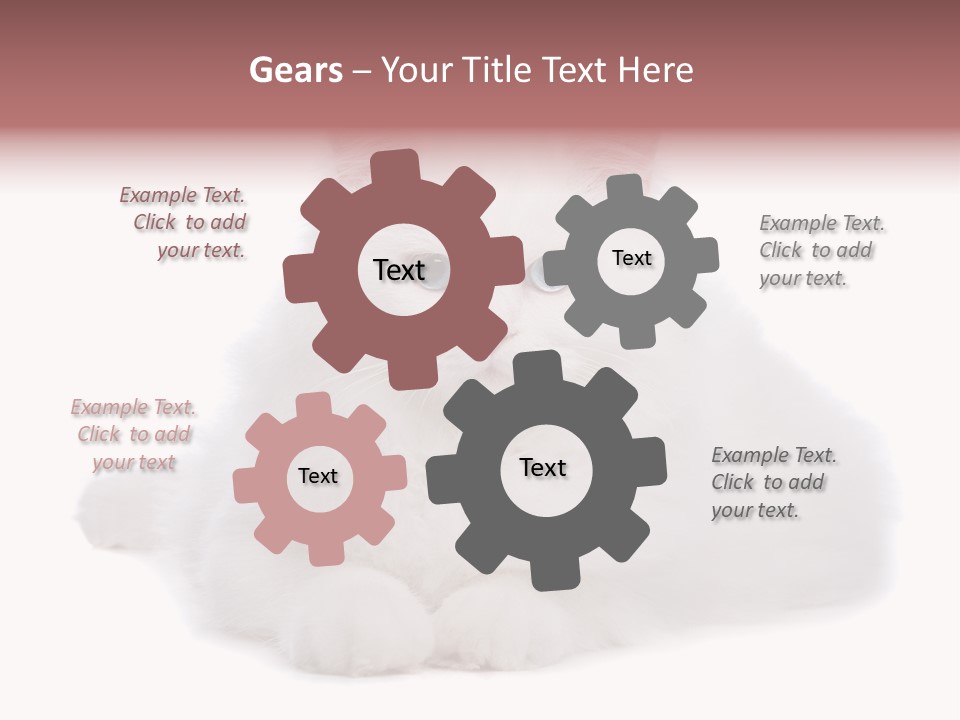 Two White Cats Naughty Background PowerPoint Template