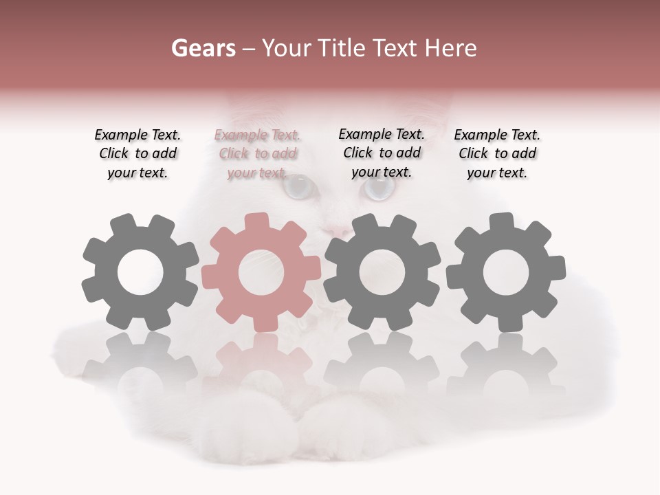 Two White Cats Naughty Background PowerPoint Template