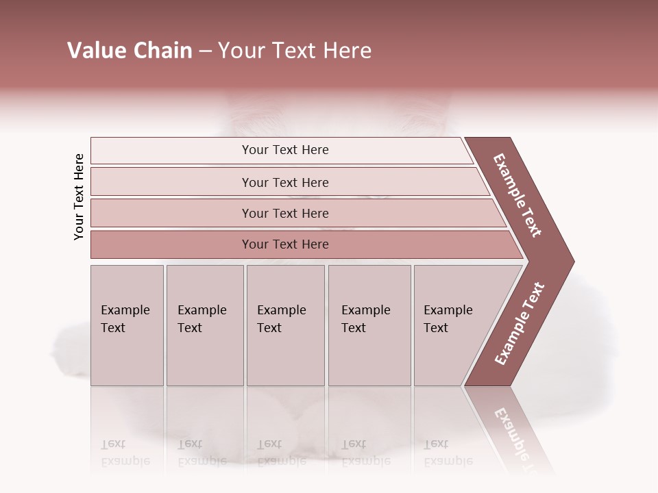 Two White Cats Naughty Background PowerPoint Template