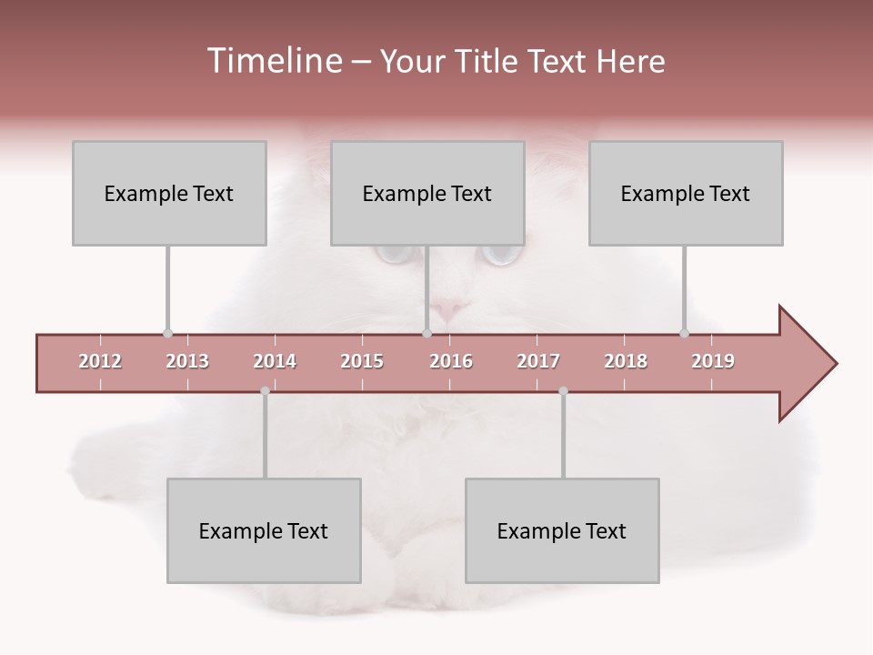 Two White Cats Naughty Background PowerPoint Template