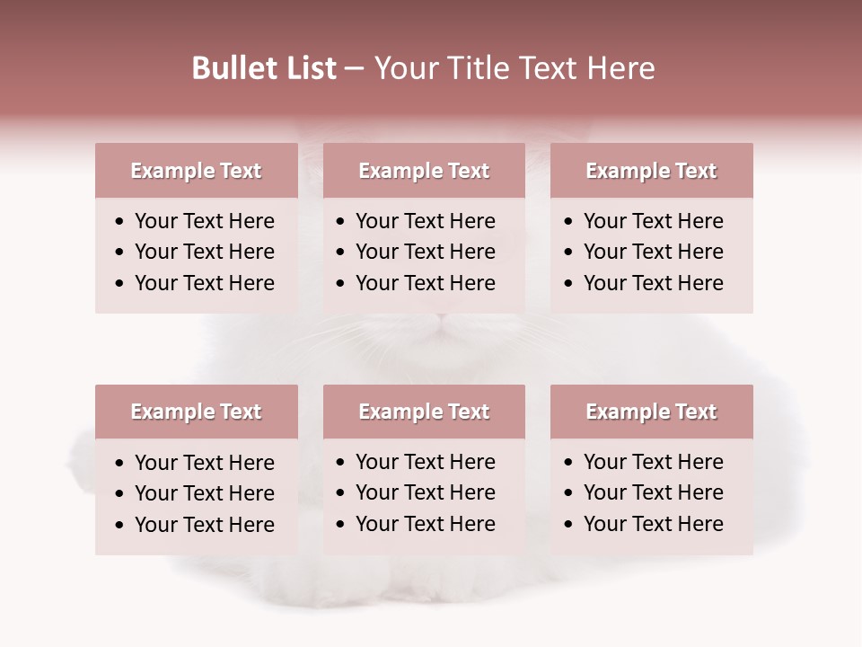 Two White Cats Naughty Background PowerPoint Template